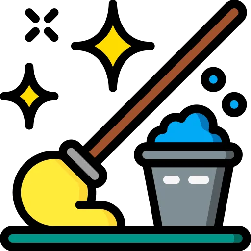 Professional cleaning services